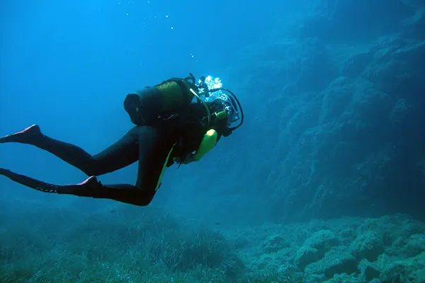 PlongéeO - Club de Plongée à proximité du Camping à Hyères