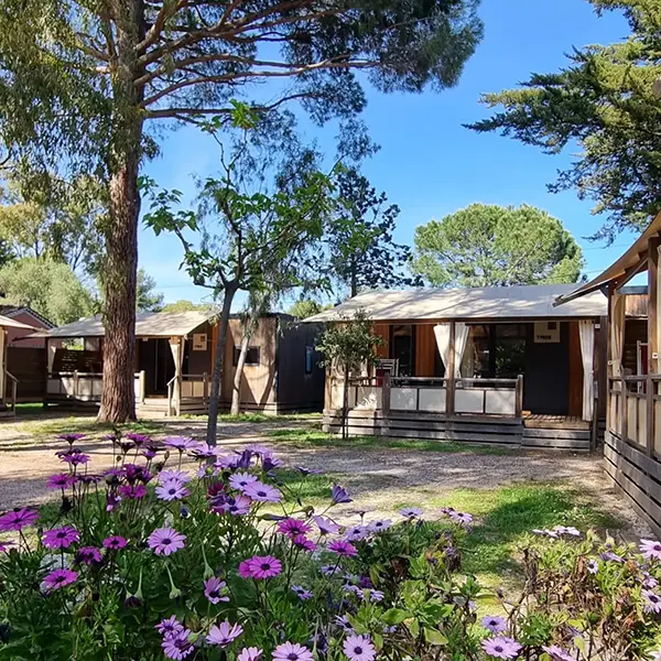 Mobil home du Camping Ceinturon 3 à Hyères Mobil home du Camping Ceinturon 3 à Hyères